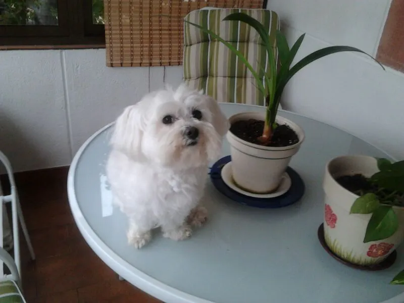 IMG-20130507-WA0000.jpg